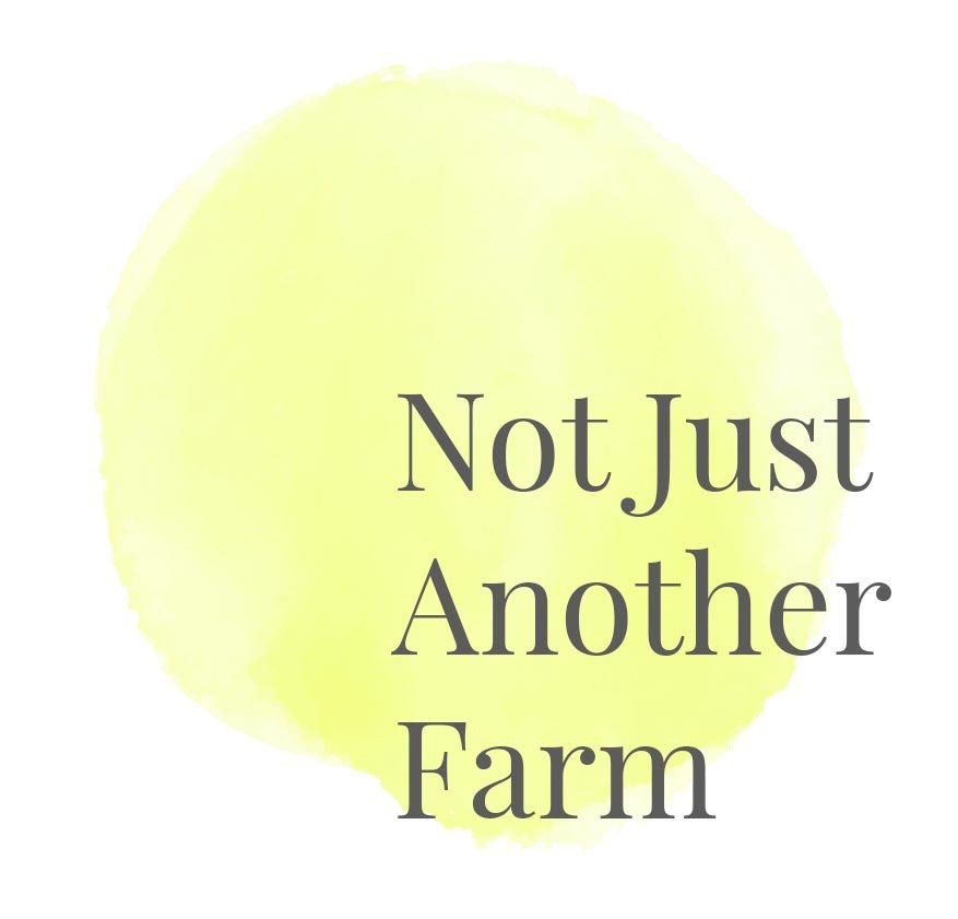 Not Just Another Farm